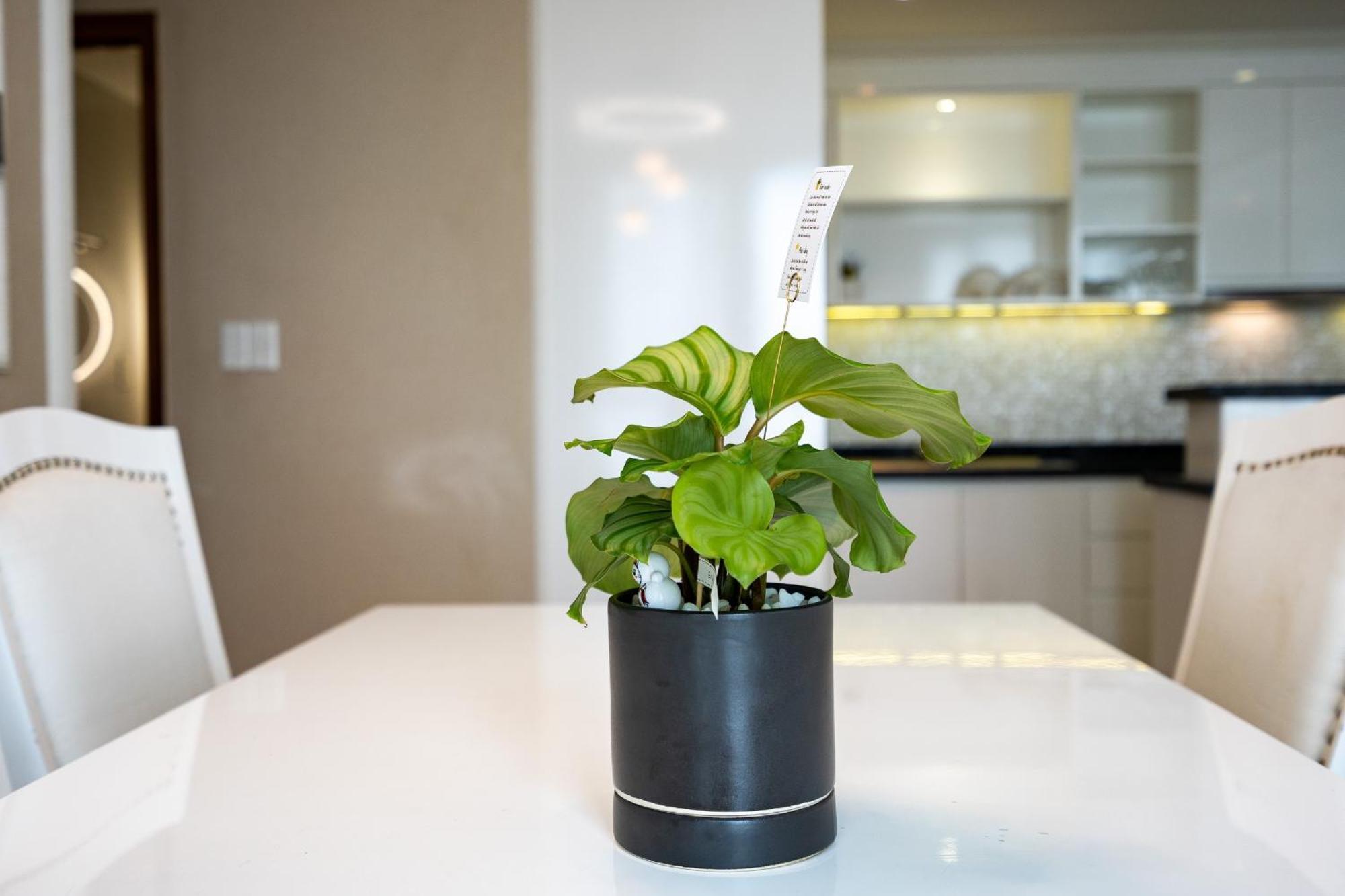 Leman Luxury Apartment By M Suites Ciudad Ho Chi Minh  Exterior foto